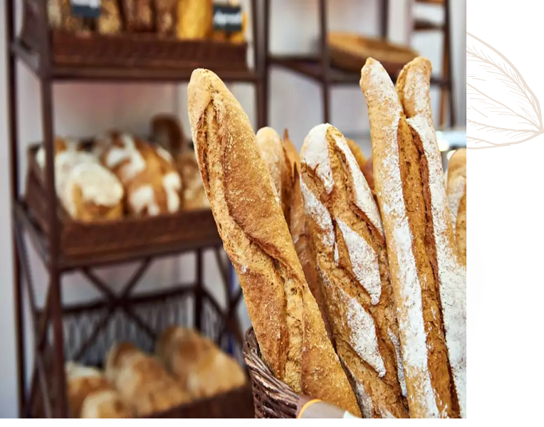 nn n n n n